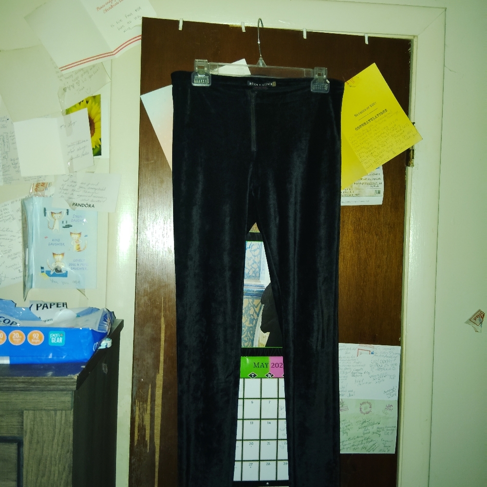 ALICE + OLIVIA Velvet Front Zip Leggings - Picture 5 of 9